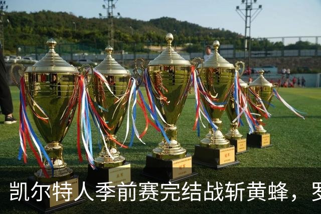 凯尔特人季前赛完结战斩黄蜂，罗宾逊成为球队焦点